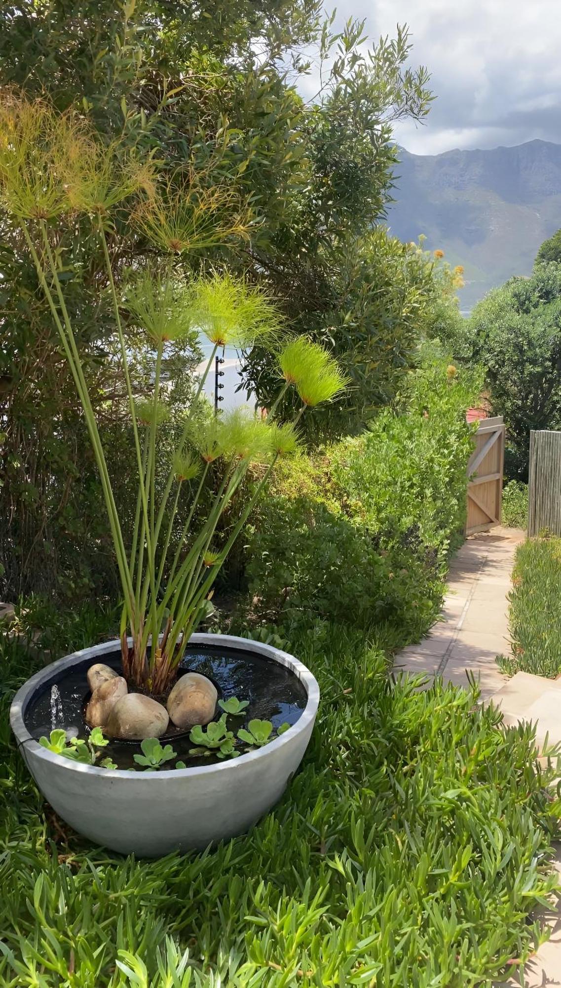 Beautiful View Garden Apartment Cape Town Dış mekan fotoğraf